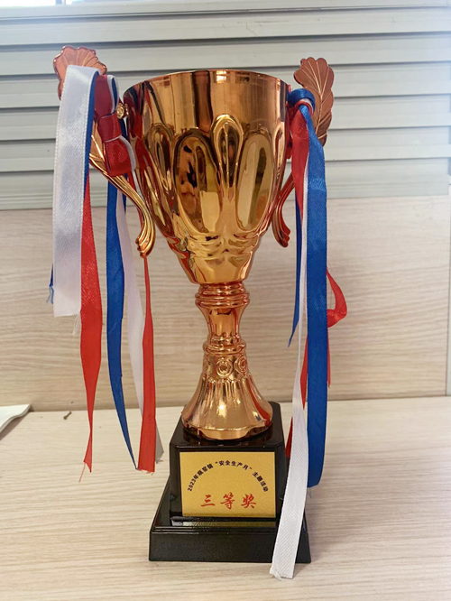參賽代表榮獲三等獎(jiǎng)獎(jiǎng)杯